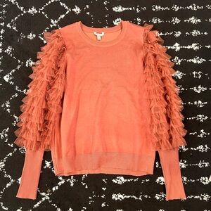 NWT Cato Ruffle Sleeve Sweater